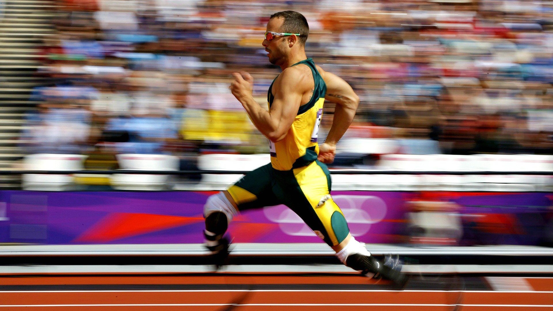 伊朗传统马术赛事“Chovgan”在2024年成功举办，吸引众多观众参与。，伊朗马种