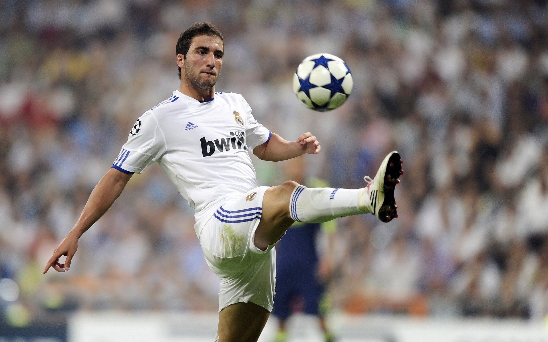 全明星投票结果：为何这几位球员成为焦点？，全明星投票结果公布